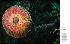 Australian Geographic Society & Culture-For the Love of Flora