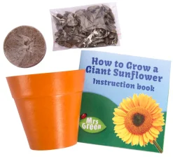 Australian Geographic Garden|5-7 Years-Giant Sunflower