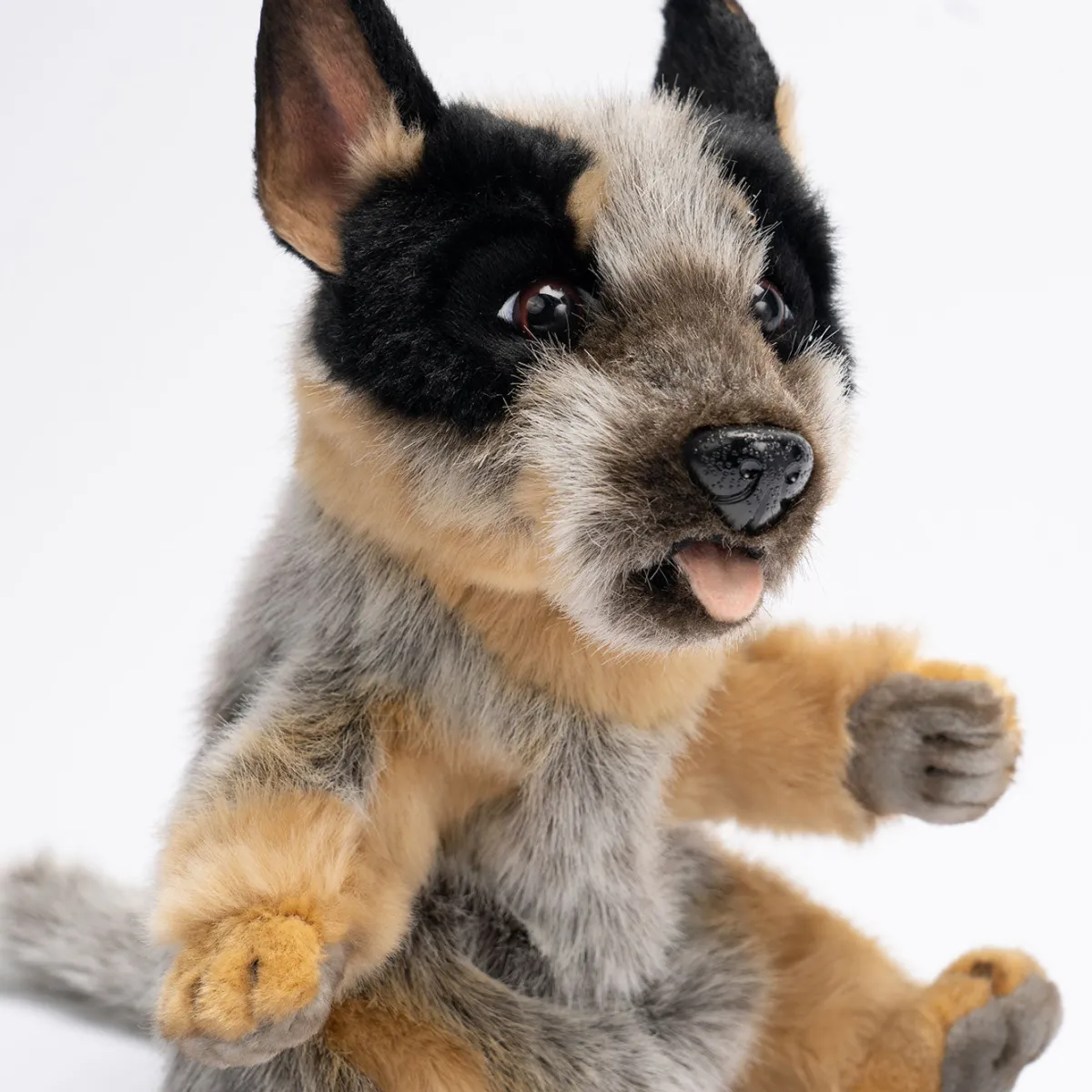 Australian Geographic Plush & Soft Toys|0-24 Months-Hansa Blue Heeler Puppy Puppet