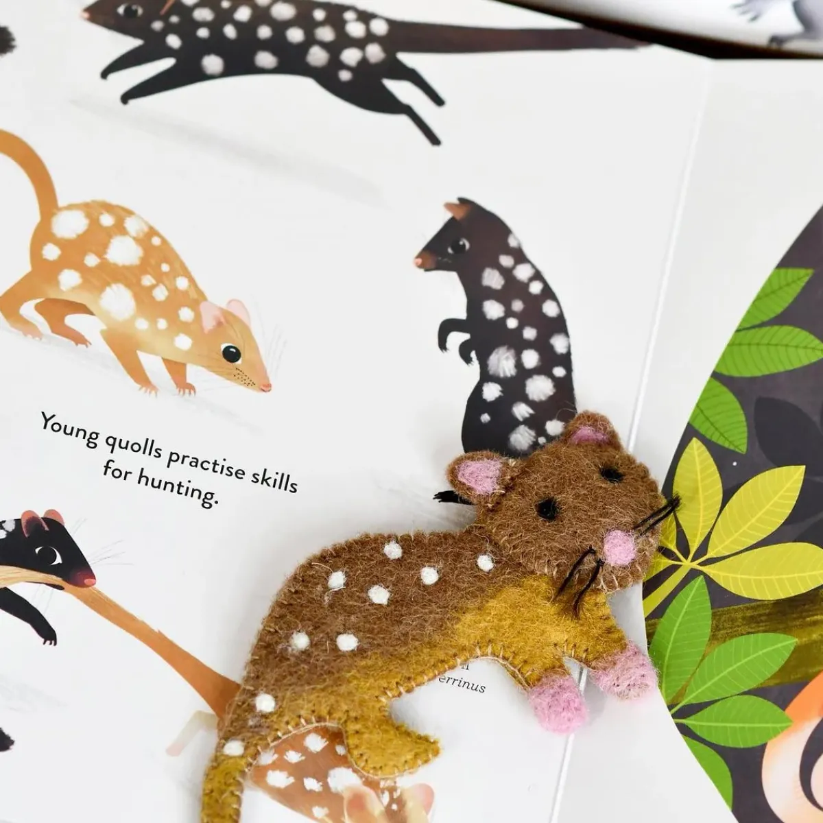 Australian Geographic Puppets-Jumping Joeys Finger Puppets and Book Set by Sarah Allen