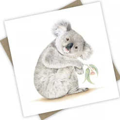Australian Geographic Accessories|Greeting Cards-Koala Barangaroo Greeting Card from PopcornBlue