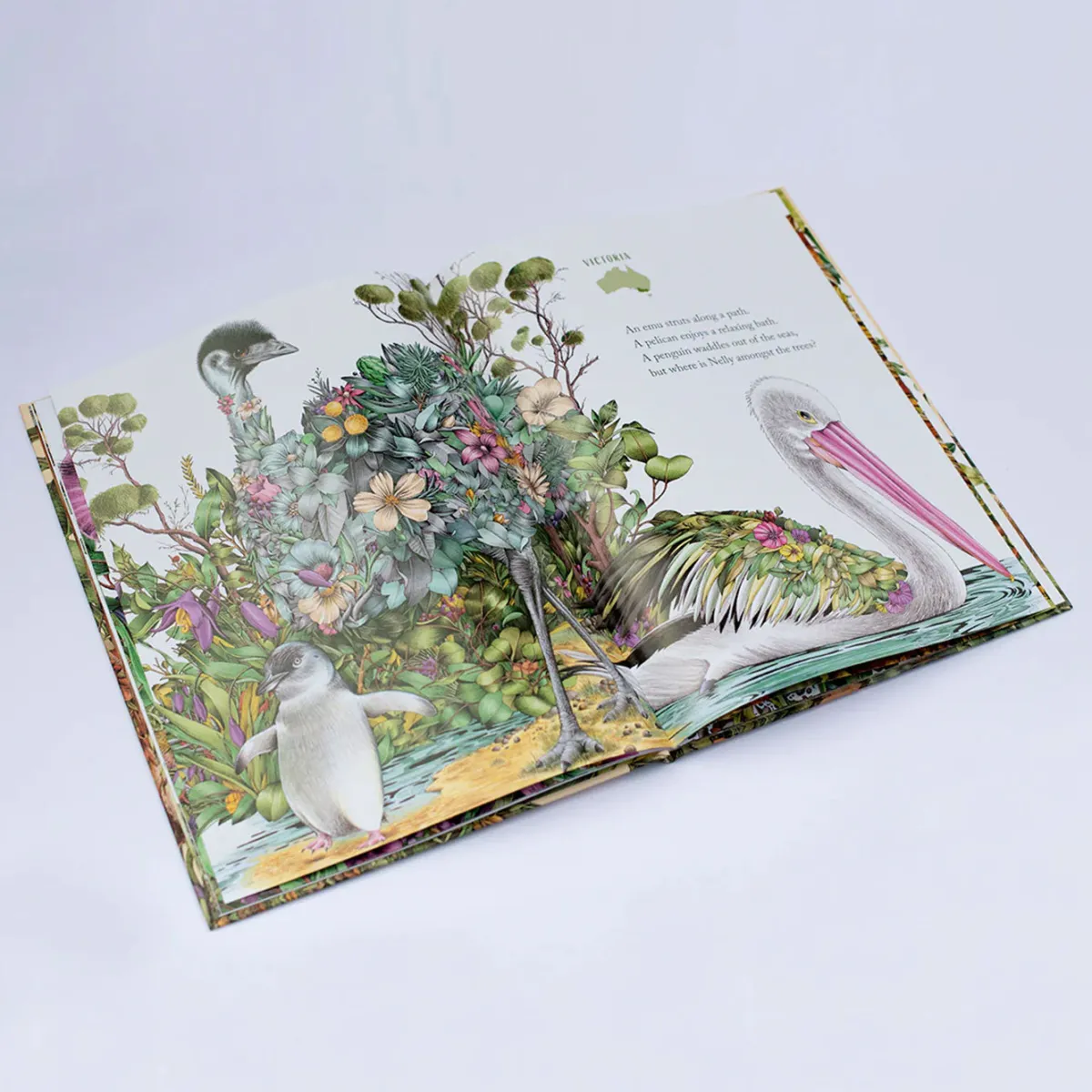 Kids Australian Geographic Activity Books|Animals & Nature-Nelly the Numbat – Search & Find Book