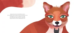 Kids Australian Geographic Animals & Nature|Age 0-8-Numby The Numbat