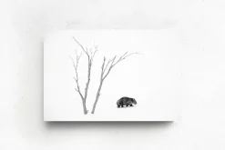 Australian Geographic Photography Prints-Phil's World' by Charles Davis