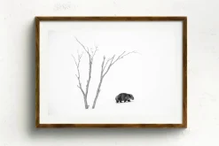 Australian Geographic Photography Prints-Phil's World' by Charles Davis
