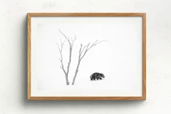 Australian Geographic Photography Prints-Phil's World' by Charles Davis
