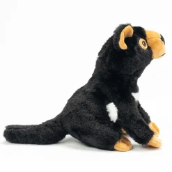 Australian Geographic Plush & Soft Toys|0-24 Months-Ripley Tasmanian Devil Plush Toy - 20cm