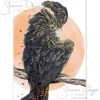 Australian Geographic Accessories|Greeting Cards-Sassy - Red-tailed Black Cockatoo Greeting Card by Shannon Dwyer