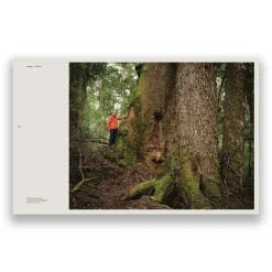 Australian Geographic Photographic & Illustrated-takayna | TARKINE - One of the last wild places on Earth