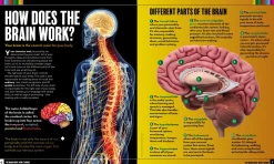 Kids Australian Geographic Educational|Science-The Human Body