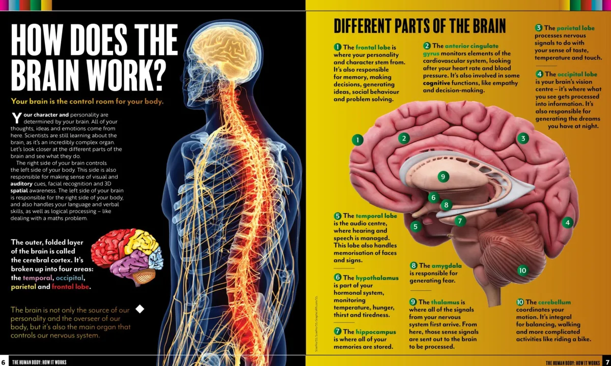 Kids Australian Geographic Educational|Science-The Human Body
