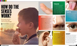 Kids Australian Geographic Educational|Science-The Human Body