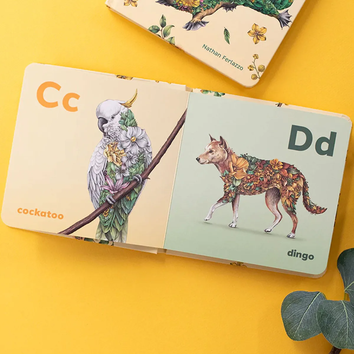 Kids Australian Geographic Educational|Animals & Nature-Wild Australia ABC Alphabet – Children's Board Book