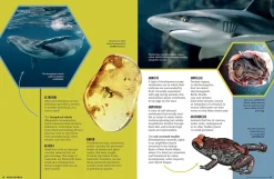 Kids Australian Geographic Educational|Science-Wild Words - An Illustrated Dictionary of Scientific Terms
