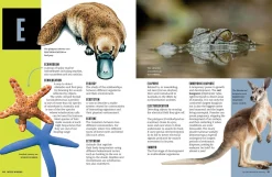 Kids Australian Geographic Educational|Science-Wild Words - An Illustrated Dictionary of Scientific Terms