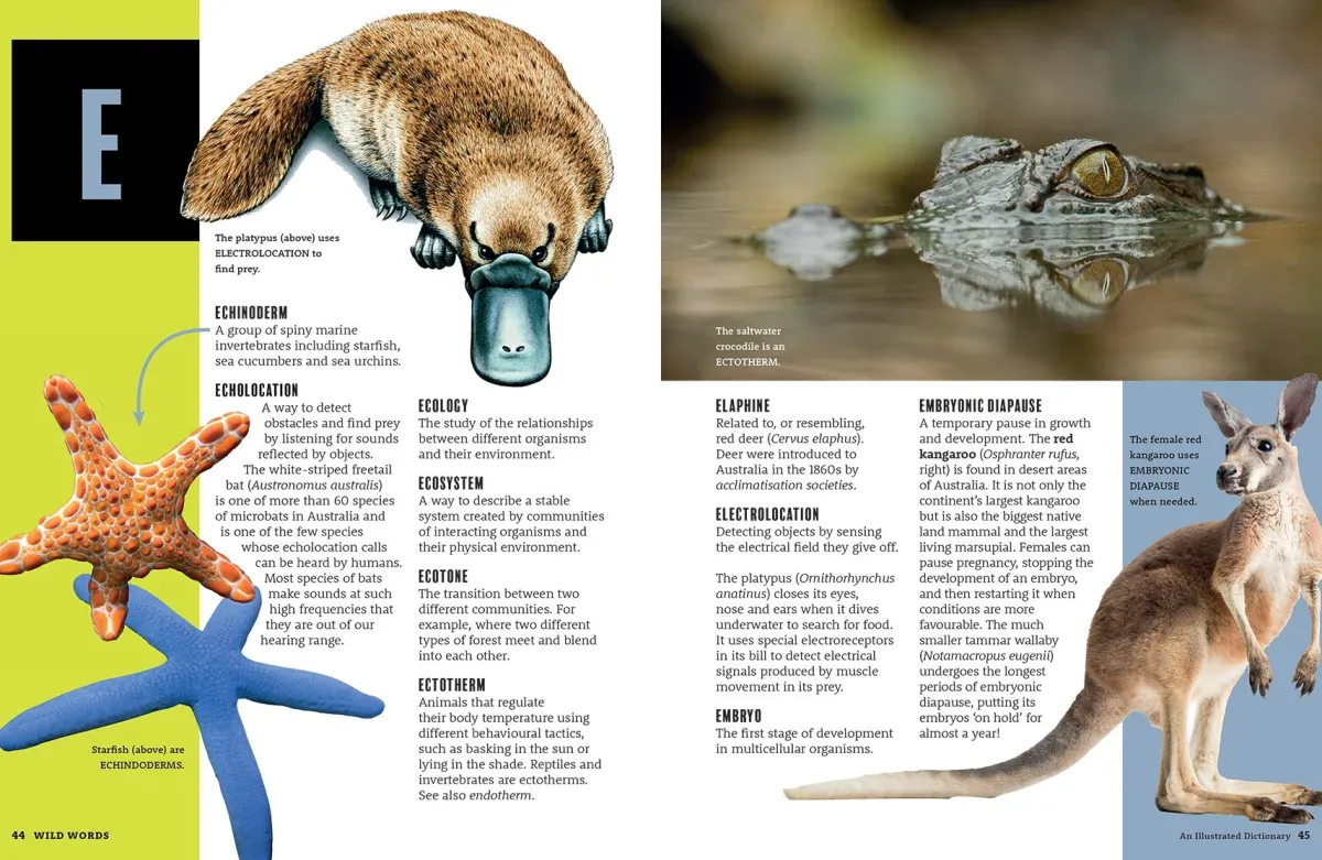 Kids Australian Geographic Educational|Science-Wild Words - An Illustrated Dictionary of Scientific Terms