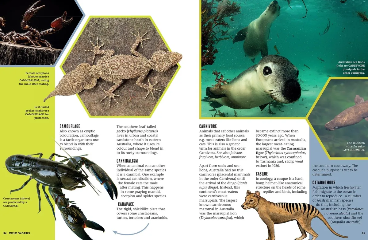 Kids Australian Geographic Educational|Science-Wild Words - An Illustrated Dictionary of Scientific Terms